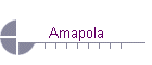 Amapola