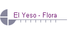 El Yeso - Flora