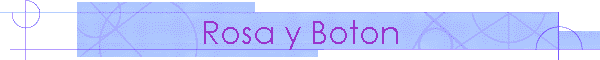 Rosa y Boton