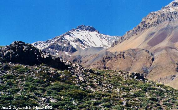 Verdor en la cordillera.