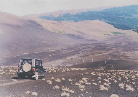 Vista