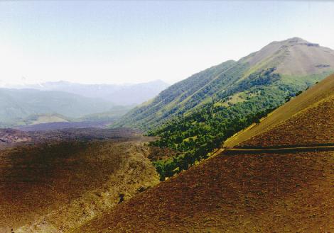 Vista lengua