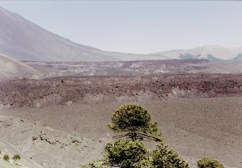 Vista lengua