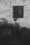 Ventana
